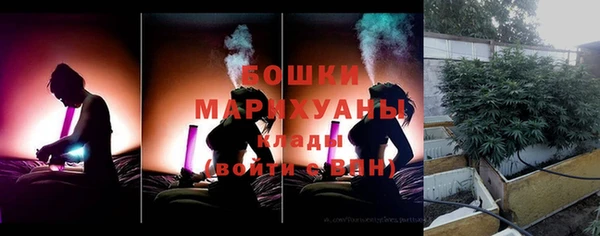 прущие грибы Абдулино