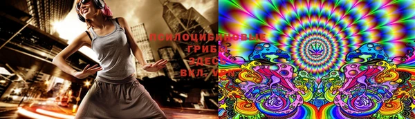 прущие грибы Абдулино