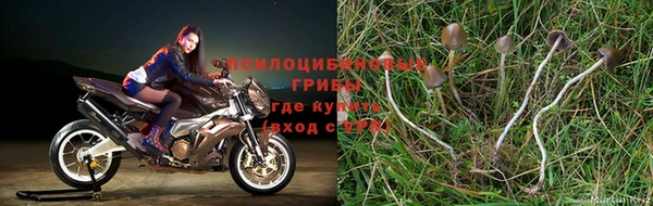 марихуана Абинск