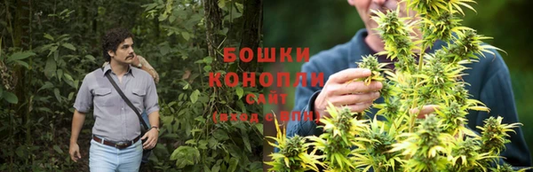 круглые Аша