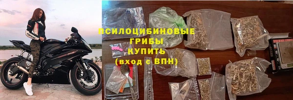 прущие грибы Абдулино