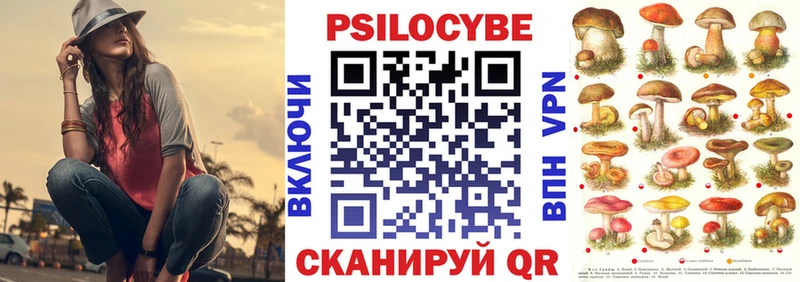 Галлюциногенные грибы Psilocybine cubensis hydra как зайти Чита