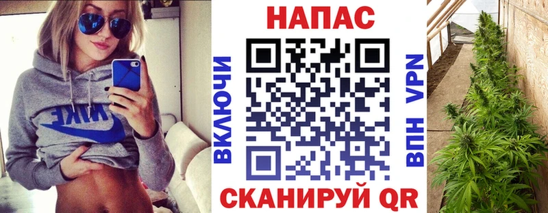 Бошки Шишки Bruce Banner  Чита 